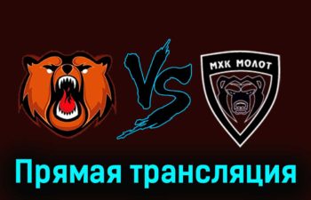 Кузнецкие Медведи — МХК Молот 26 ноября 2023 года прямая трансляция
