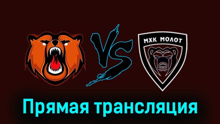 Кузнецкие Медведи — МХК Молот 26 ноября 2023 года прямая трансляция Кузнецкие Медведи — МХК Молот 26 ноября 2023 года прямая трансляция