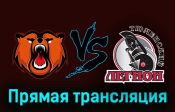 Кузнецкие Медведи — Тюменский Легион 29 ноября 2023 года прямая трансляция