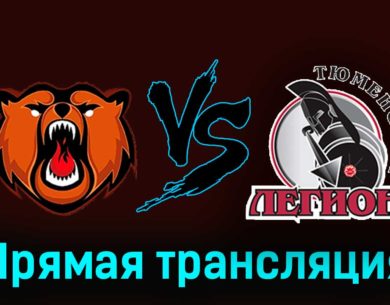 Кузнецкие Медведи — Тюменский Легион 30 ноября 2023 года прямая трансляция