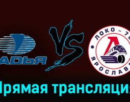 Ладья — Локо-76 18 ноября 2023 года прямая трансляция