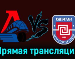 Локо — ХК Капитан 23 ноября 2023 года прямая трансляция