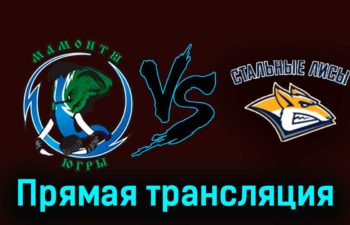 Мамонты Югры — Стальные Лисы 17 ноября 2023 года прямая трансляция