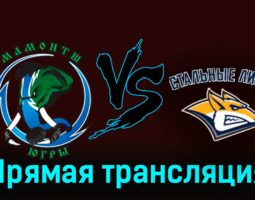 Мамонты Югры — Стальные Лисы 18 ноября 2023 года прямая трансляция