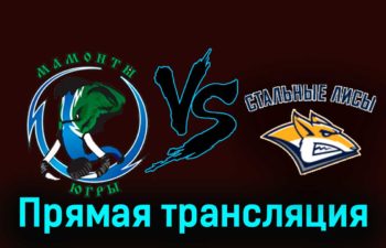 Мамонты Югры — Стальные Лисы 18 ноября 2023 года прямая трансляция