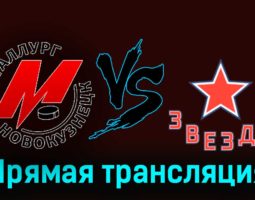 Металлург Нк — Звезда 21 ноября 2023 года прямая трансляция