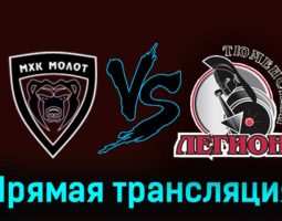 МХК Молот — Тюменский Легион 16 ноября 2023 года прямая трансляция