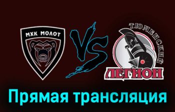 МХК Молот — Тюменский Легион 16 ноября 2023 года прямая трансляция