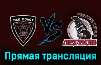 МХК Молот — Тюменский Легион 17 ноября 2023 года прямая трансляция