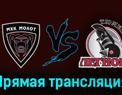 МХК Молот — Тюменский Легион 17 ноября 2023 года прямая трансляция