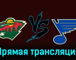 Миннесота Уайлд — Сент-Луис Блюз 29 ноября 2023 года прямая трансляция