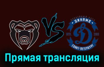 Молот — Динамо СПб 25 ноября 2023 года прямая трансляция