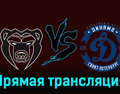 Молот — Динамо СПб 25 ноября 2023 года прямая трансляция