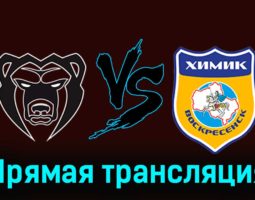 Молот — Химик В 29 ноября 2023 года прямая трансляция