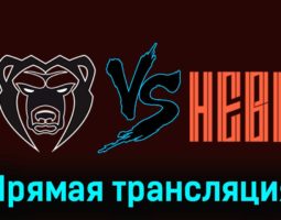 Молот — СКА-Нева 27 ноября 2023 года прямая трансляция