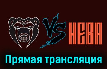 Молот — СКА-Нева 27 ноября 2023 года прямая трансляция
