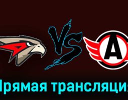 Омские Ястребы — Авто 26 ноября 2023 года прямая трансляция