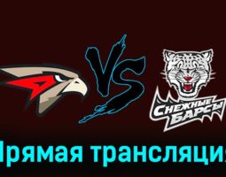 Омские Ястребы — Снежные Барсы 22 ноября 2023 года прямая трансляция