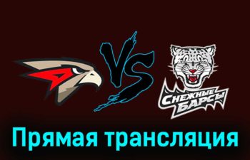 Омские Ястребы — Снежные Барсы 22 ноября 2023 года прямая трансляция
