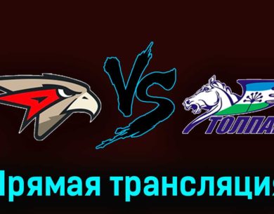 Омские Ястребы — Толпар 29 ноября 2023 года прямая трансляция