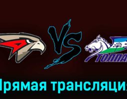Омские Ястребы — Толпар 30 ноября 2023 года прямая трансляция