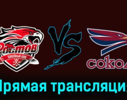 Ростов — Сокол 24 ноября 2023 года прямая трансляция