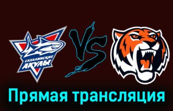 Сахалинские Акулы — Амурские Тигры 17 ноября 2023 года прямая трансляция