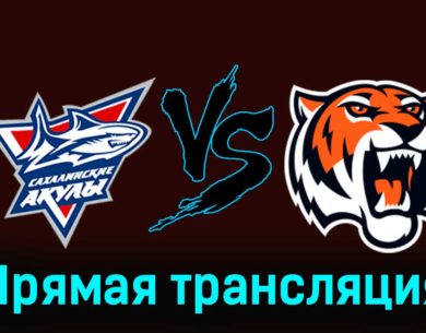 Сахалинские Акулы — Амурские Тигры 17 ноября 2023 года прямая трансляция