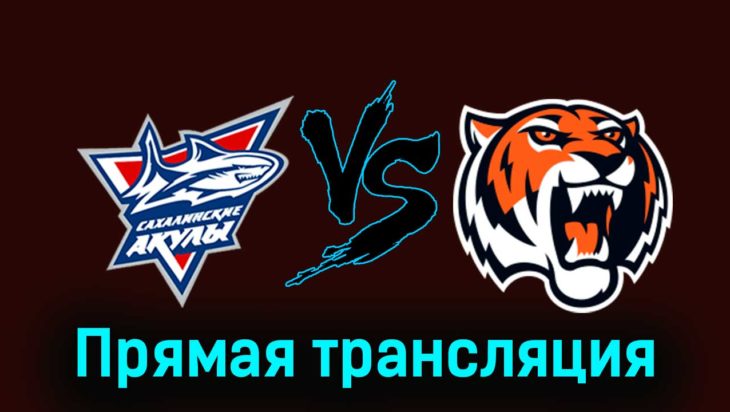 Сахалинские Акулы — Амурские Тигры 17 ноября 2023 года прямая трансляция Сахалинские Акулы — Амурские Тигры 17 ноября 2023 года прямая трансляция