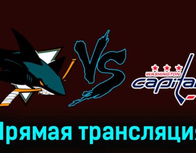 Сан-Хосе Шаркс — Вашингтон Кэпиталз 28 ноября 2023 года прямая трансляция