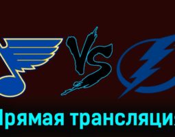 Сент-Луис Блюз — Тампа-Бэй Лайтнинг 15 ноября 2023 года прямая трансляция
