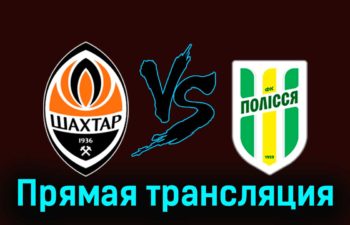 Шахтёр — Полесье 24 ноября 2023 года прямая трансляция