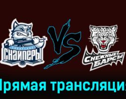 Сибирские Снайперы — Снежные Барсы 19 ноября 2023 года прямая трансляция