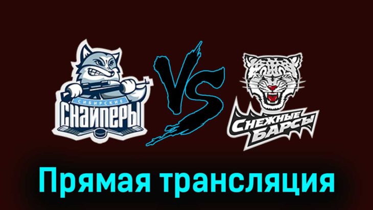 Сибирские Снайперы — Снежные Барсы 19 ноября 2023 года прямая трансляция