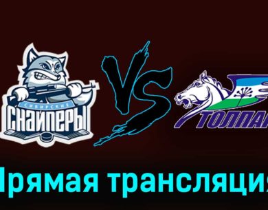 Сибирские Снайперы — Толпар 24 ноября 2023 года прямая трансляция