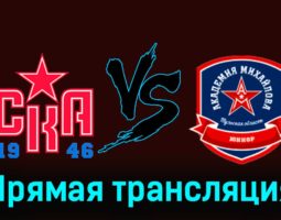 СКА-1946 — АКМ-Юниор 18 ноября 2023 года прямая трансляция