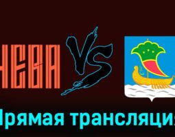 СКА-Нева — Челны 21 ноября 2023 года прямая трансляция