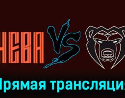 СКА-Нева — Молот 15 ноября 2023 года прямая трансляция