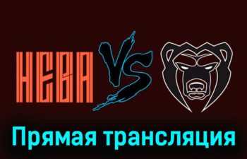 СКА-Нева — Молот 15 ноября 2023 года прямая трансляция