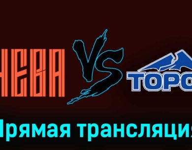 СКА-Нева — Торос 19 ноября 2023 года прямая трансляция