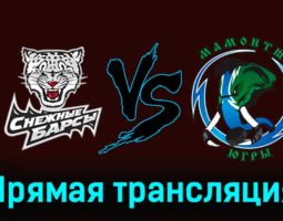 Снежные Барсы — Мамонты Югры 26 ноября 2023 года прямая трансляция