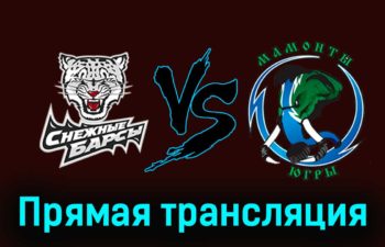 Снежные Барсы — Мамонты Югры 26 ноября 2023 года прямая трансляция