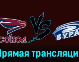 Сокол — Буран 19 ноября 2023 года прямая трансляция