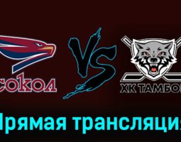 Сокол — ХК Тамбов 15 ноября 2023 года прямая трансляция