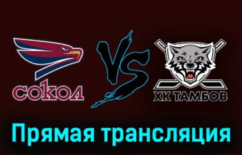 Сокол — ХК Тамбов 15 ноября 2023 года прямая трансляция