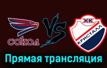 Сокол — Кристалл 13 ноября 2023 года прямая трансляция