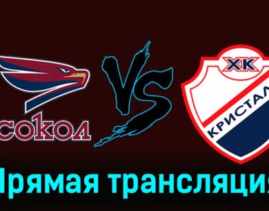 Сокол — Кристалл 13 ноября 2023 года прямая трансляция