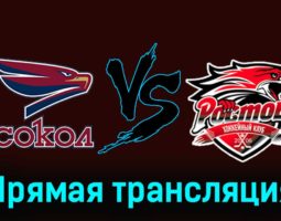 Сокол — Ростов 17 ноября 2023 года прямая трансляция