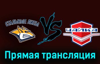 Стальные Лисы — Чайка 22 ноября 2023 года прямая трансляция