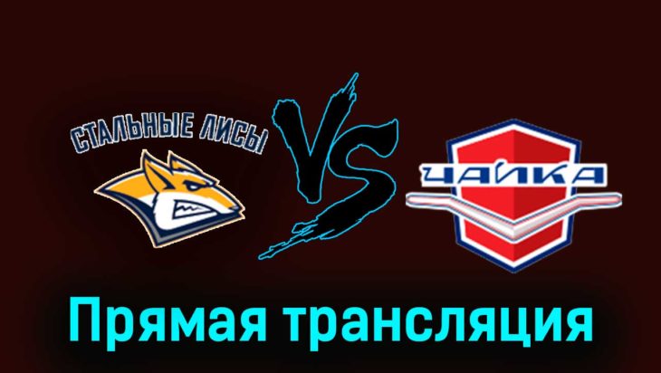 Стальные Лисы — Чайка 22 ноября 2023 года прямая трансляция Стальные Лисы — Чайка 22 ноября 2023 года прямая трансляция